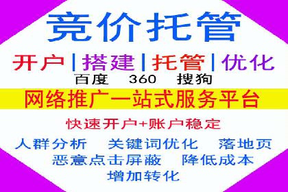 企业SEM托管代运营实战案例